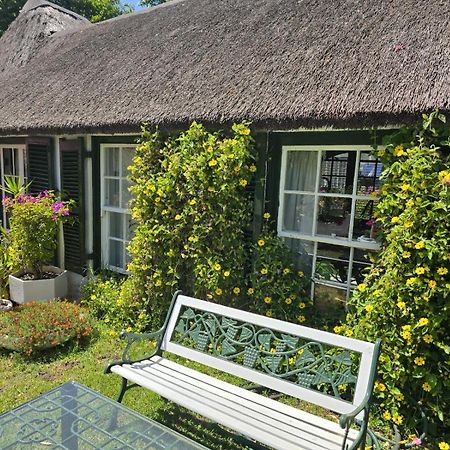 Meyerhof Apartment Cape Town Bagian luar foto