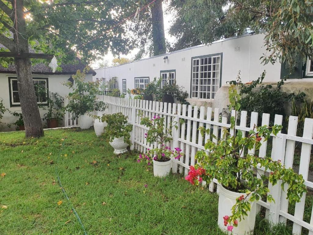 Meyerhof Apartment Cape Town Bagian luar foto