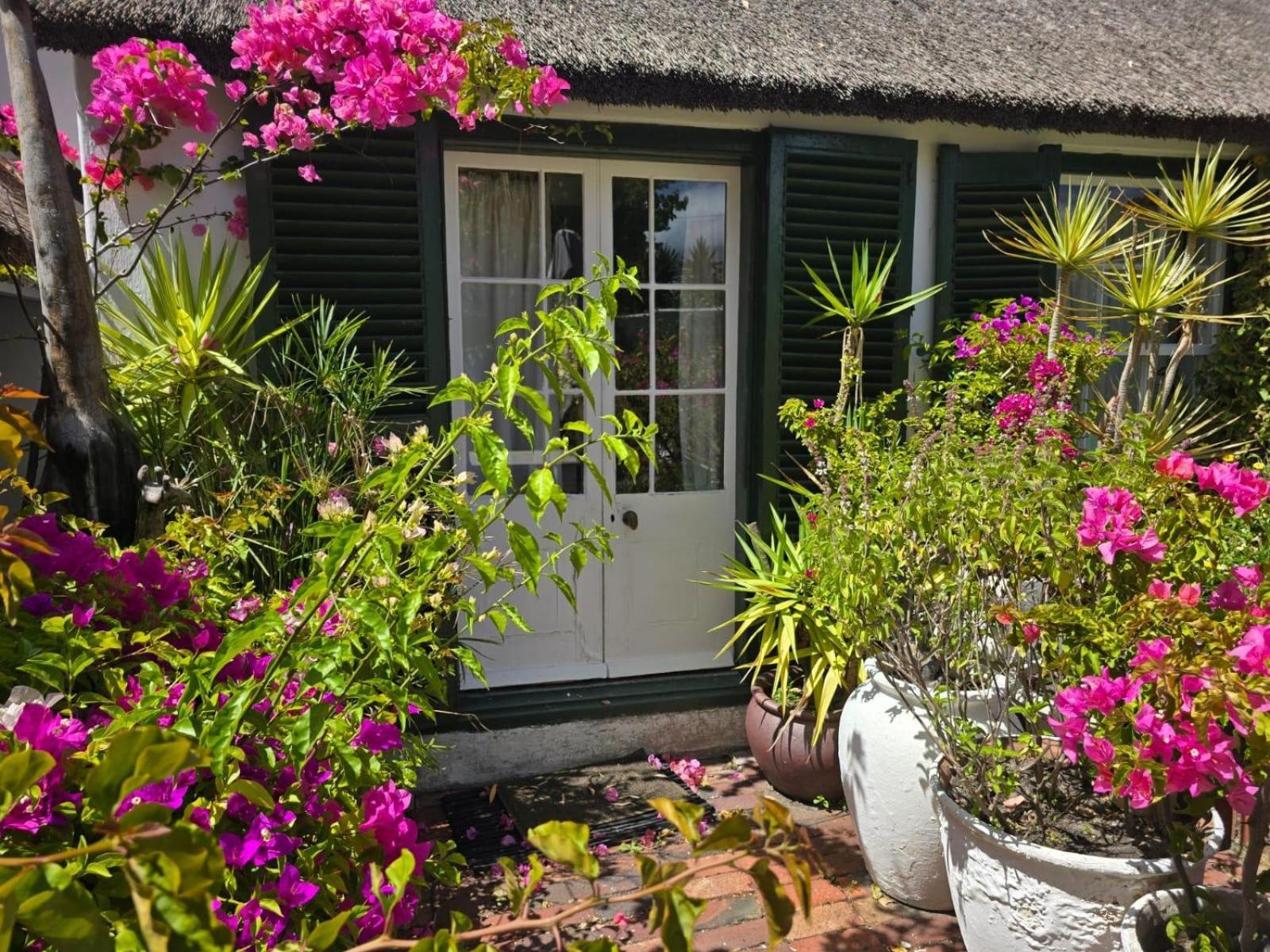 Meyerhof Apartment Cape Town Bagian luar foto