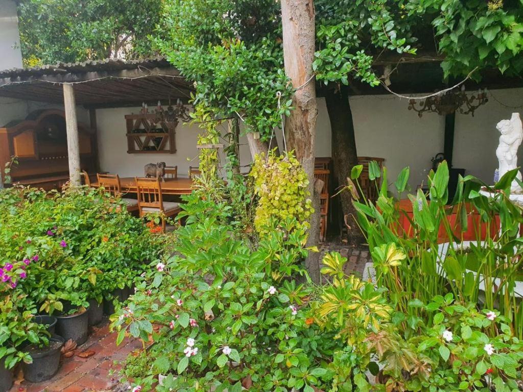 Meyerhof Apartment Cape Town Bagian luar foto