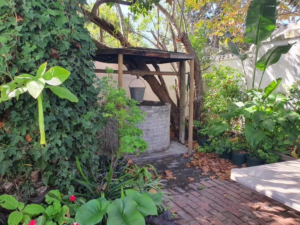 Meyerhof Apartment Cape Town Bagian luar foto