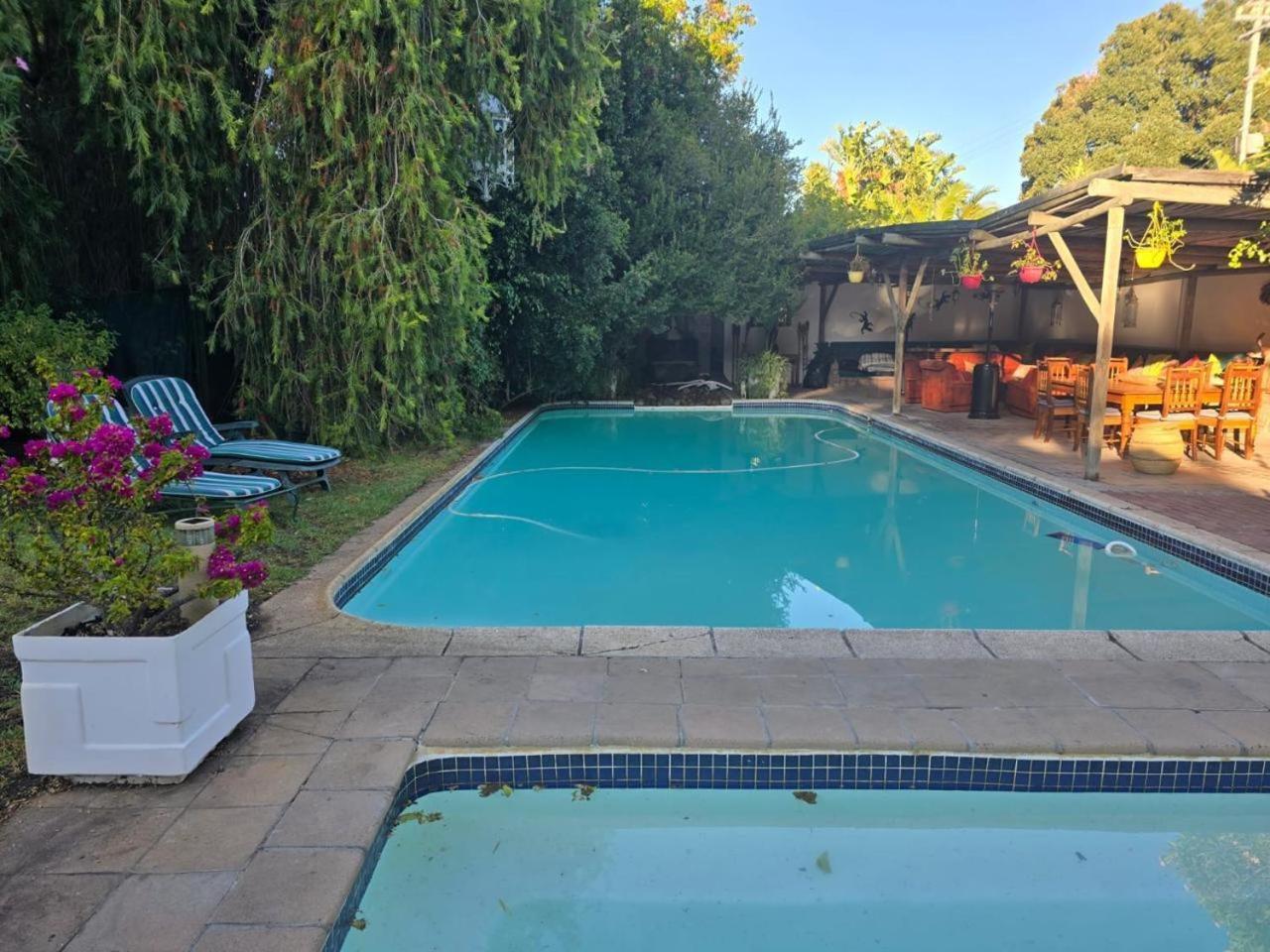 Meyerhof Apartment Cape Town Bagian luar foto
