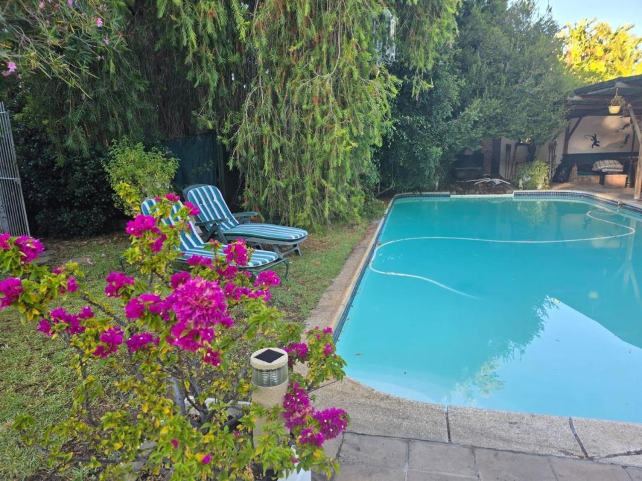 Meyerhof Apartment Cape Town Bagian luar foto