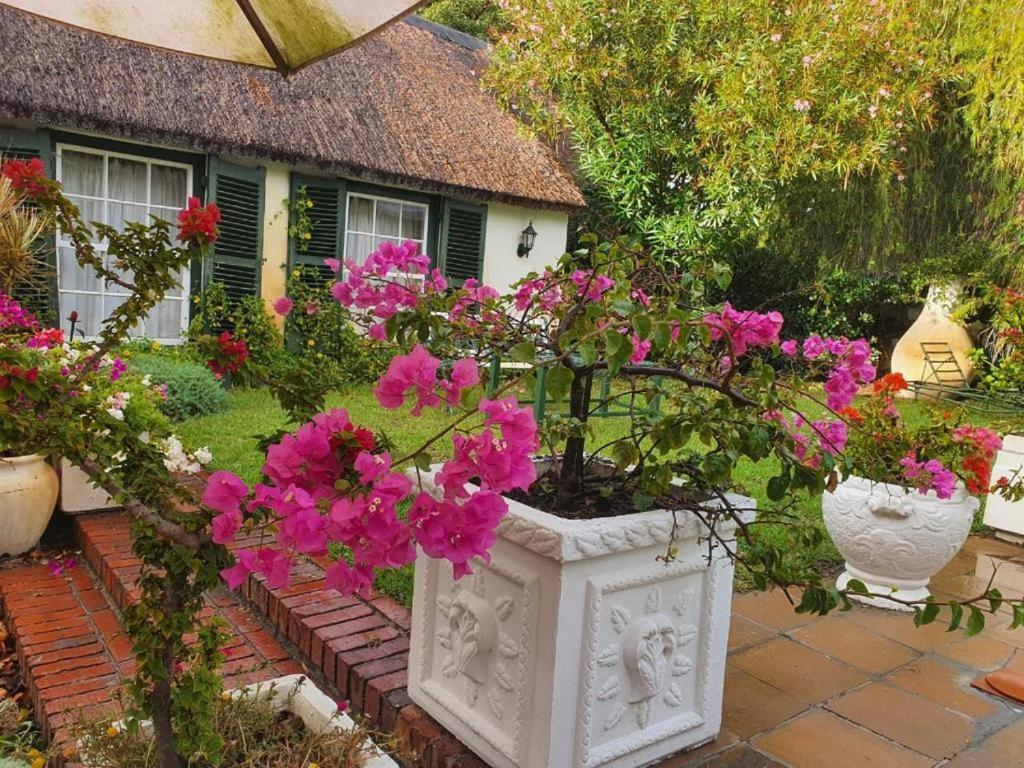 Meyerhof Apartment Cape Town Bagian luar foto
